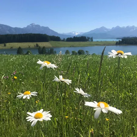 Lieblingsplatz-fuessen - Stilvoll Urlauben & Wohnen Fussen